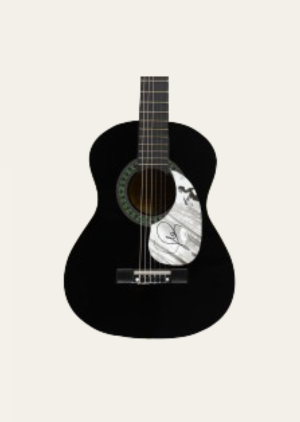 Taylor Swift Signed Autographed Acoustic Guitar JSA Certified READ