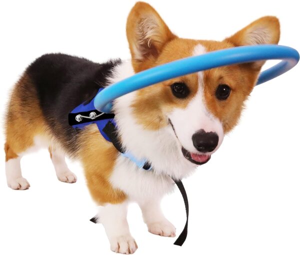 Blind Dog Harness Guiding Device